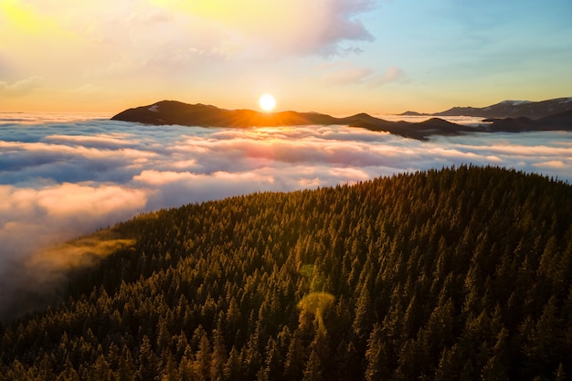 Vista aerea di alba vibrante sopra le colline della montagna coperte di foresta attillata sempreverde in autunno.