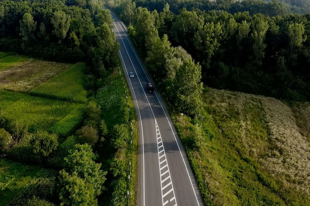 Vista aerea di automobili che guidano lungo la strada vuota lungo alberi e campi la mattina soleggiata. Viaggiare, noleggio auto, concetto di assicurazione