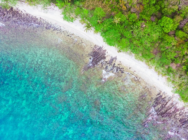 Vista aerea di bella spiaggia e mare con palme da cocco