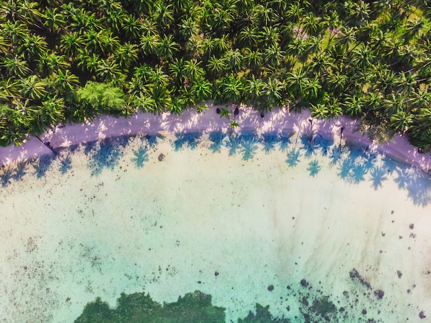 Vista aerea di bella spiaggia e mare con palme da cocco