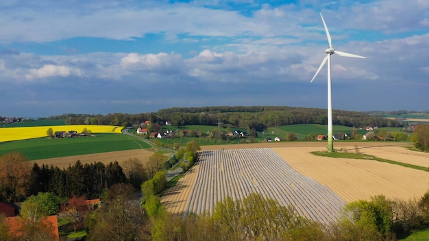 Vista aerea di campi di asparagi e campi di colza gialla nella campagna tedesca