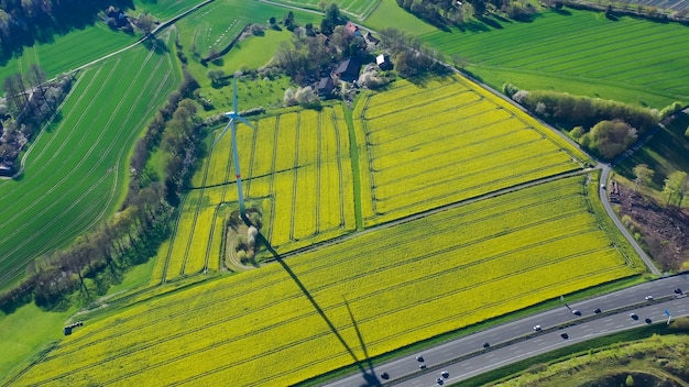 Vista aerea di campi di colza gialla nella campagna tedesca