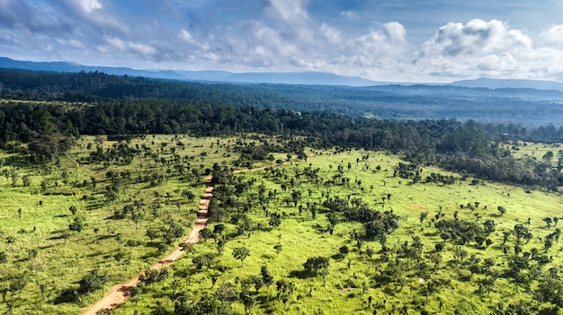 Vista aerea di foreste e praterie in Thailandia