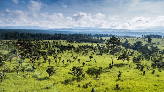 Vista aerea di foreste e praterie in Thailandia