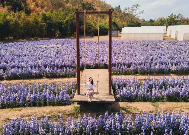 Vista aerea di giovane donna asiatica allegra che gioca oscillazione di legno nel fiore di Margherita che fiorisce nel giardino