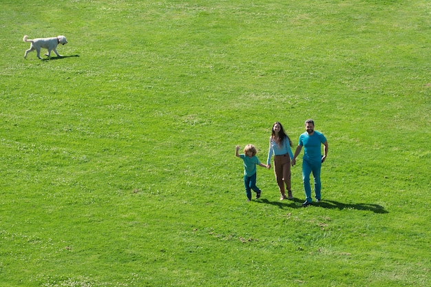 Vista aerea di giovani genitori felici che giocano con il bambino fuori nel parco