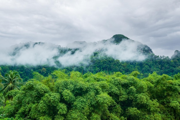 Vista aerea di nebbia, nuvole e nebbia che incombe su una lussureggiante foresta pluviale tropicale dopo una tempesta e nebbia