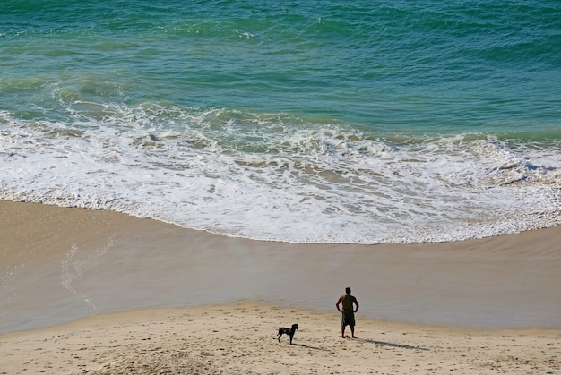 Vista aerea di persone con il suo cane che si rilassano sulla spiaggia sabbiosa alla luce del sole del mattino