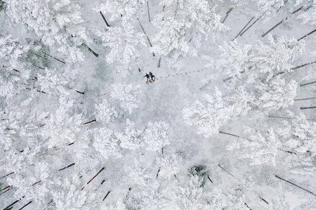 Vista aerea di persone sdraiate sulla neve