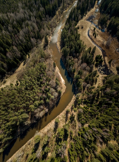 Vista aerea di persone su tavole da paddle nel fiume