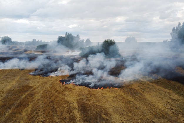 Vista aerea di stoppie bruciate con fumo nel campo dell'azienda agricola