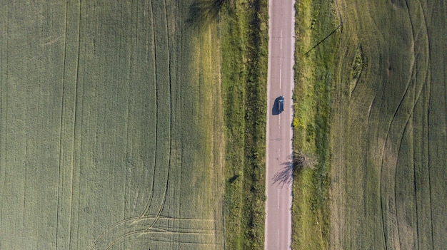 Vista aerea di torsione della strada tra la foresta e gli alberi.