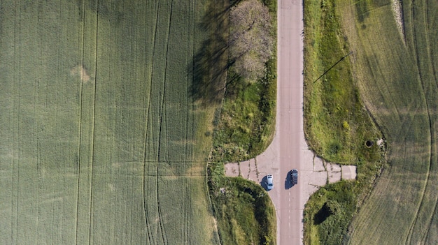 Vista aerea di torsione della strada tra la foresta e gli alberi.