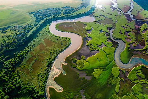 Vista aerea di un delta fluviale con vegetazione lussureggiante e canali tortuosi