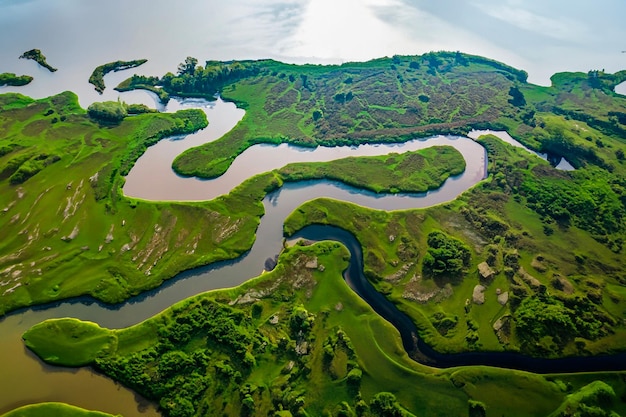 Vista aerea di un delta fluviale con vegetazione lussureggiante e canali tortuosi