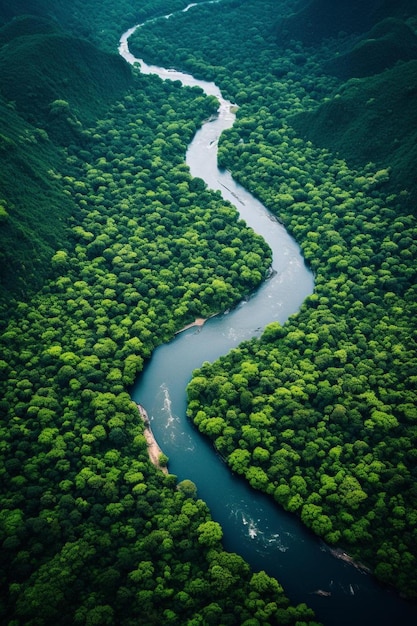vista aerea di un fiume tortuoso circondato da una foresta verde