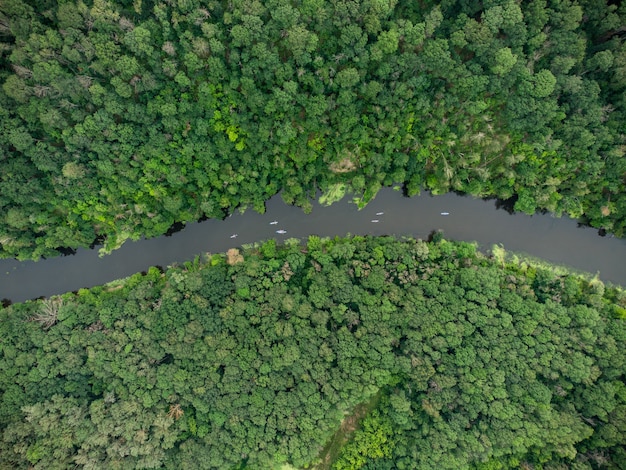 Vista aerea di un gruppo di kayak che viaggiano su un fiume della foresta in una giornata estiva