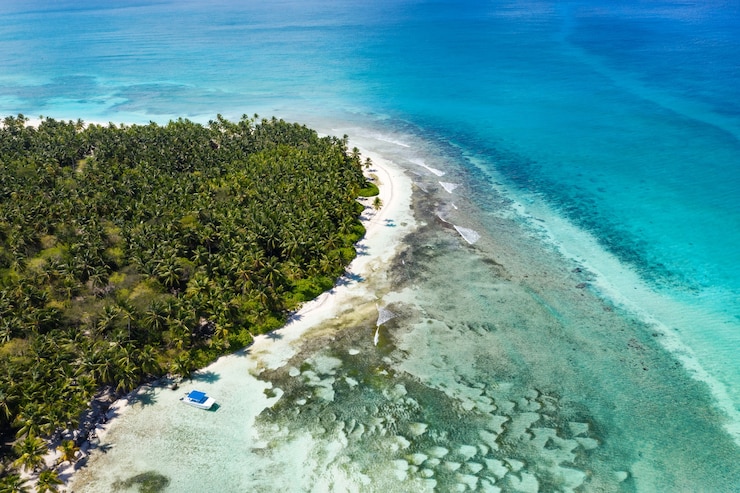 Foto vista aerea di un'isola tropicale con palme