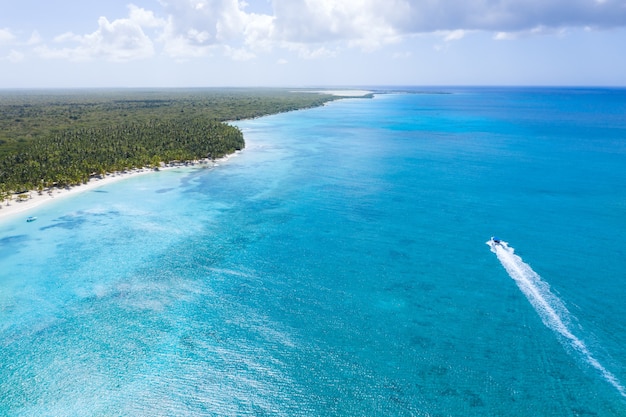 Vista aerea di un'isola tropicale con palme