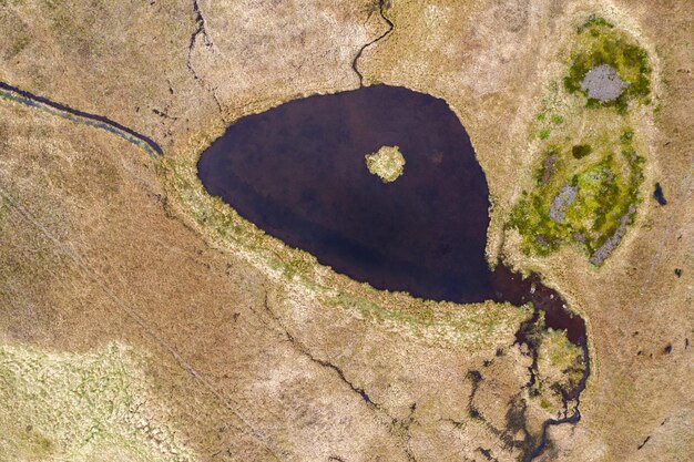 Vista aerea di un piccolo stagno su un campo di lava coperto di muschio in Islanda da un drone