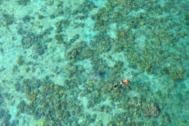 Vista aerea di un uomo lo snorkeling in spiaggia