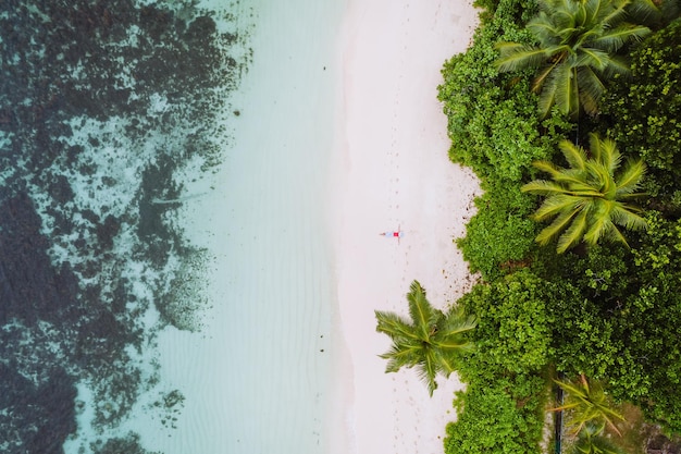 Vista aerea di una giovane donna che si rilassa sulla spiaggia sabbiosa del paradiso tropicale circondata da palme