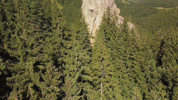 Vista aerea di una roccia pittoresca situata fra la foresta attillata nelle montagne