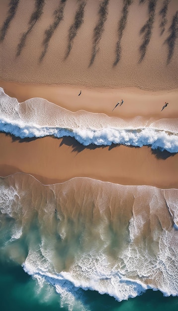 Vista aerea di una spiaggia con i surfisti sulla sabbia