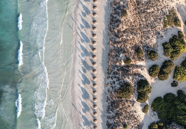 Vista aerea di una spiaggia di sabbia bianca con ombrelloni allineati a Maiorca, in Spagna