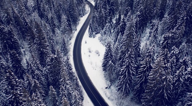 Vista aerea di una strada di montagna nella foresta invernale. Dolomiti Alpi Italia.