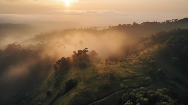 Vista aerea di una valle con nebbia e alberi