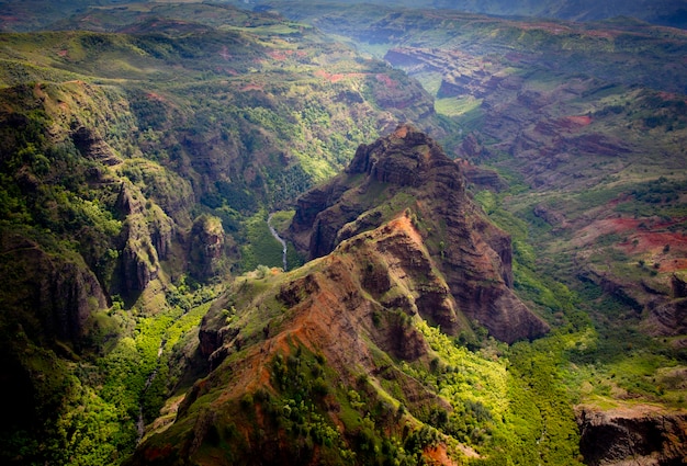 Vista aerea di una valle verde a Kauai Hawaii