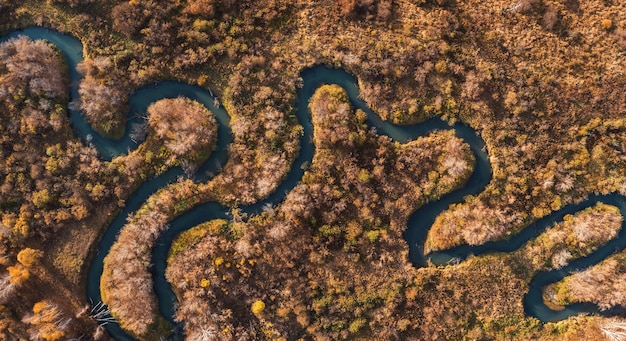 Vista aerea drone del paesaggio autunnale con il fiume