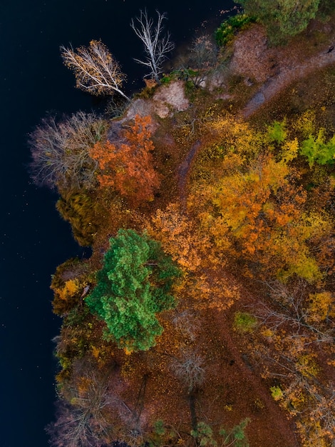 Vista aerea Drone di alberi forestali colorati e lago in autunno Ucraina