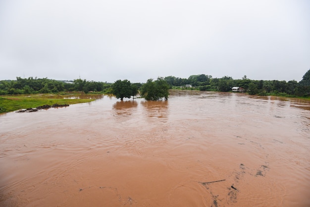 Vista aerea fiume inondazione foresta natura bosco area verde albero, vista dall'alto fiume laguna stagno con inondazione d'acqua dall'alto, fiume infuriato che scorre lungo il lago della giungla che scorre acqua selvaggia dopo la pioggia