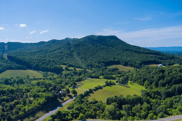 Vista aerea panoramica della foresta di alberi verdi estivi nella città di Campobello, Carolina del Sud USA