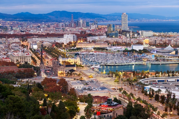 Vista aerea sopra la città di Barcellona all&#39;ora blu