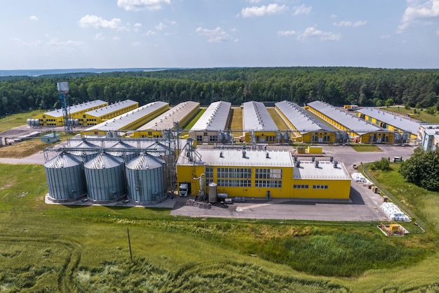 Vista aerea su file di agro silos ascensore per granaio con linea di pulizia dei semi su impianto di produzione di agroprocessing per la lavorazione, asciugatura e stoccaggio di prodotti agricoli