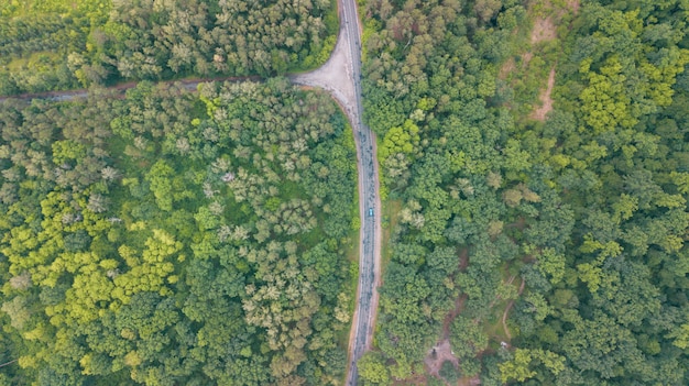 Vista aerea su strada tra boschi