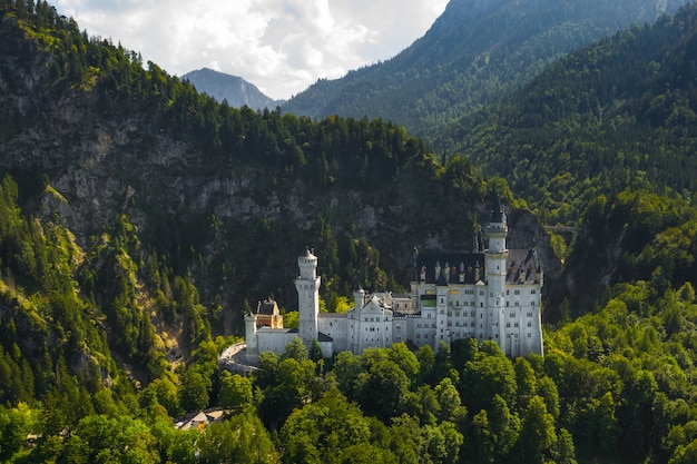 Vista aerea sul castello Schwangau, Baviera, Germania del Neuschwanstein. Foto di drone del paesaggio delle Alpi con alberi e montagne.