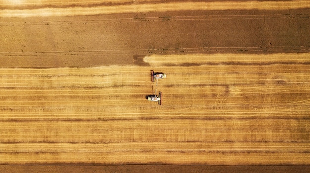 Vista aerea sulla mietitrebbia lavorando sul grande campo di grano