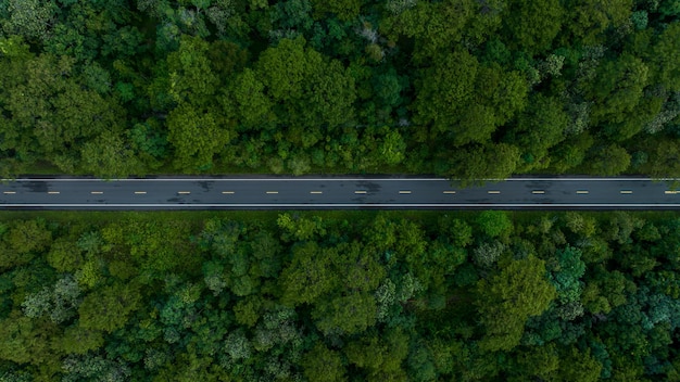 Vista aerea sulla strada forestale con strada asfaltata e strada forestale nel mezzo della foresta