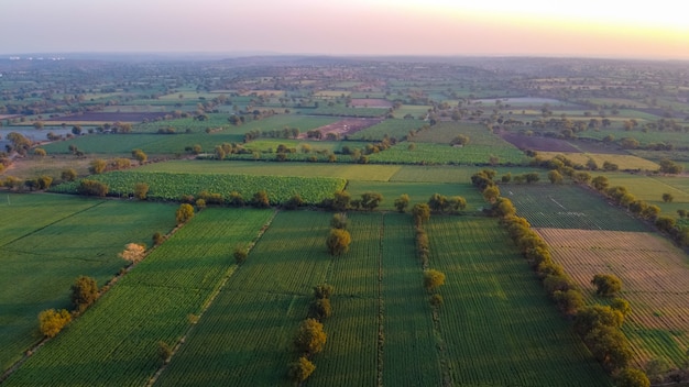 Vista aerea superiore del campo agricolo