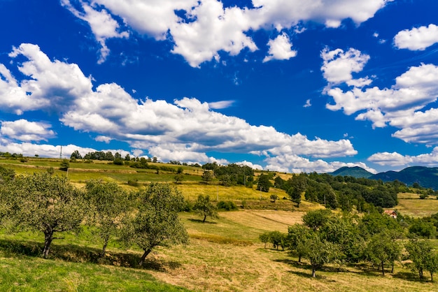 Vista alla collina di Greben dal fiume Danubio in Serbia