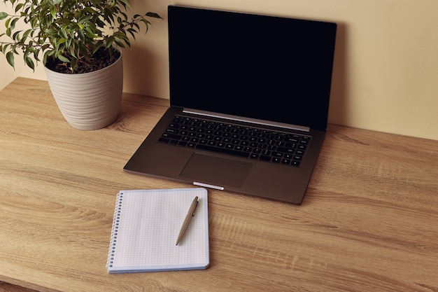 Vista angolare sulla scrivania dell'area di lavoro. Computer portatile con schermo vuoto, pianta in vaso e blocco note cellulare con penna.