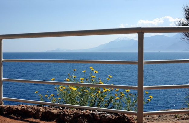 Vista attraverso la recinzione metallica dalla costa rocciosa con fiori gialli al mare calmo e alle alte montagne