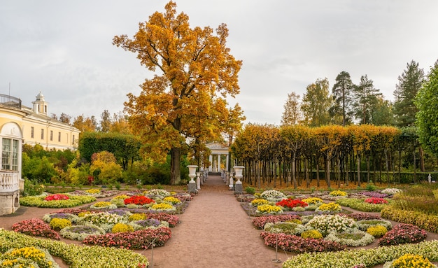 Vista autunnale del giardino dell'imperatrice Maria Feodorovna vicino al palazzo di Pavlovsk a Pavlovsk. Russia.