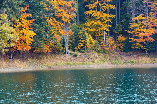 Vista autunnale del lago Synevyr