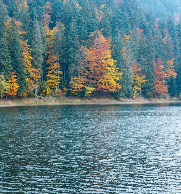 Vista autunnale del lago Synevyr