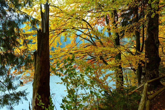 Vista autunnale del lago Synevyr